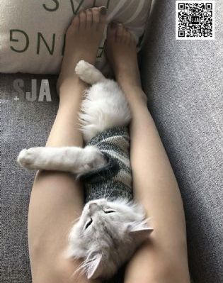 星辰影视在线