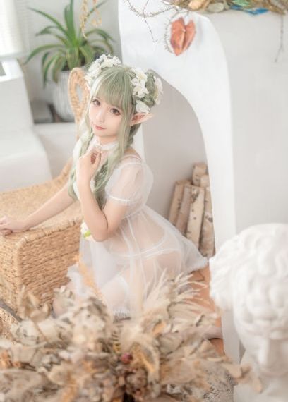 玫瑰花开电视剧全集免费观看