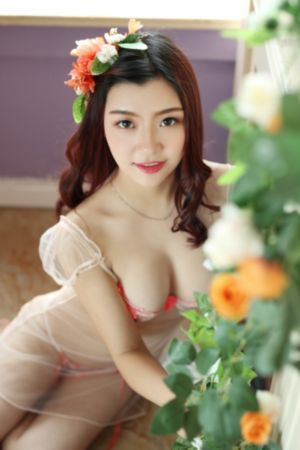 蚂蚁视频在线看电视剧