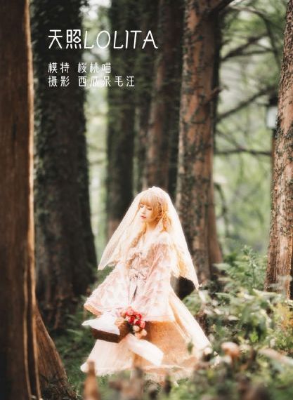 《柳舟记》免费观看