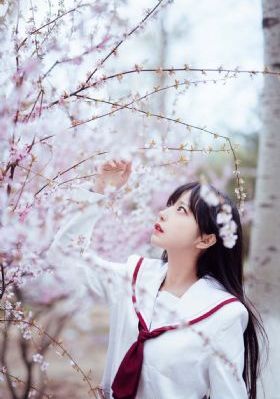 长恨歌 电视剧