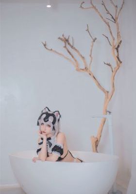 去有风的地方电视剧全集免费观看