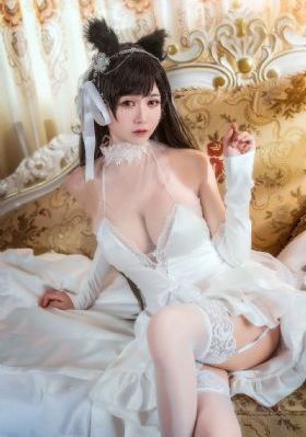 国产男男gaygay免费视频